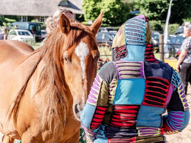 Beeld 2022 &bull; 3805490867